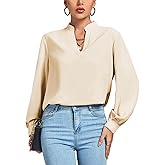 LYANER Women's V Neck Shirred Long Sleeve Office Elegant Tunic Blouse Top