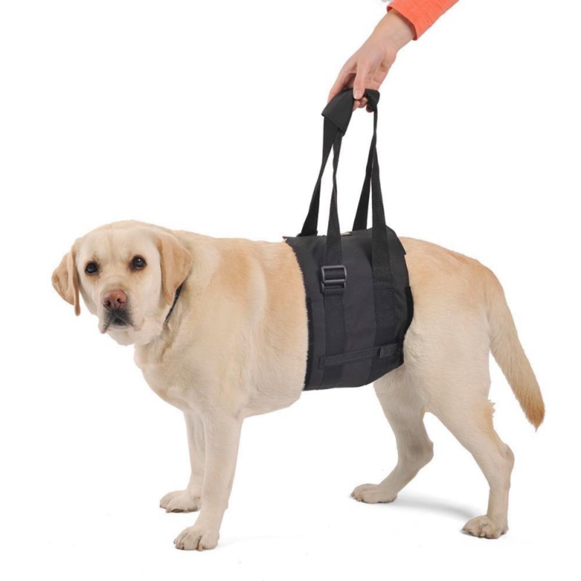 Ortocanis - Walking Aid, Support Harness for Dogs with Mobility Problems, Hind Leg Support, Size M