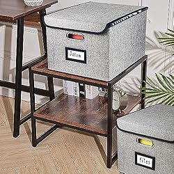 Desihum Collapsible File Organizer Box, filing