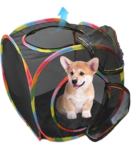 Mesh Tunnel Rabbit Collapsible Mesh HKYLRAT Outdoor Cat Enclosure Tunnel - Collapsible ...