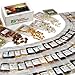 Survival Essentials' Premium 135 Variety Heirloom Seed Bank: 23,335+ Non-Hybrid, Non-GMO Heirloom Seeds.Veggies, Fruits, Medicinal & Culinary Herbs Plus 9 Free Rare Tomato Varieties primary