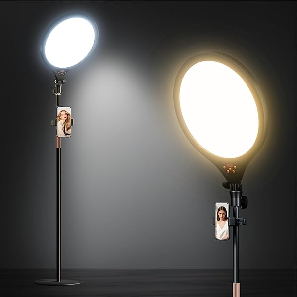 Ring Light with Stand and Phone Holder, 14" Professional LED Camera Lighting for Video Recording, Adjustable Height Content Creator Essentials Kit, Selfie Ring Light for TikTok YouTube