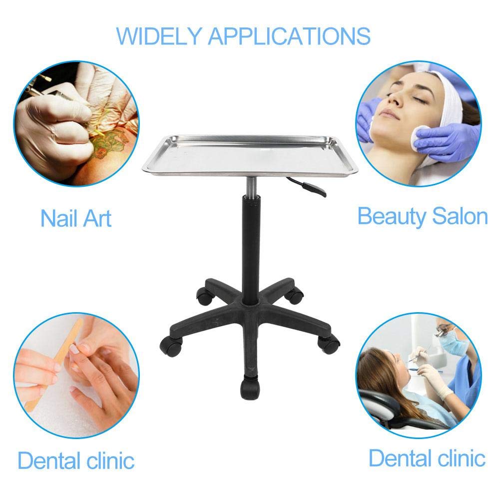 Salon Tray Beauty Rolling Trolley Cart Hair Spa Equipment Height Adjustable Stainless Steelwith Wheels Hairdressing Tattoo Storage(tray): Beauty