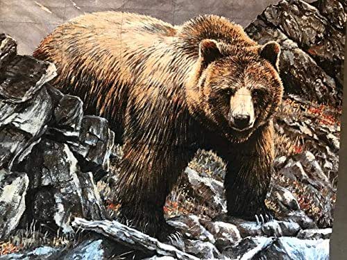 Amazon.com: LAP WEIGHTED BLANKET with 7 lbs and bear print, washable