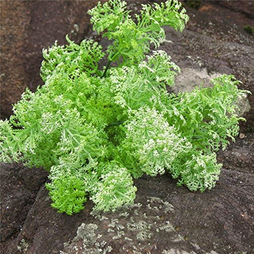 YSBER Artificial Aquatic Fake Plants &amp; Plastic Fake Green Grass for Office Wedding Room Home Decor Plante artificielle artificial Plants for Decoration 5PCS (White and green)