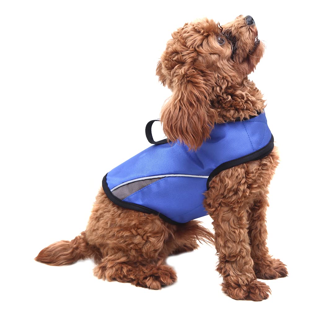 Photo 1 of Dog Anxiety Jacket Keep Calming Vest Thunder Coat with D-Ring and Training Handle for Medium Dogs