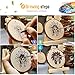 5ARTH Natural Wood Slices - 30 Pcs 2.7-3.1 inches Craft Unfinished Wood kit Predrilled with Hole Wooden Circles for Arts Wood Slices Christmas Ornaments DIY Crafts