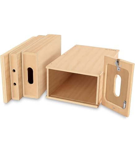 Amazon.com : Kupo Apple Box Full 20
