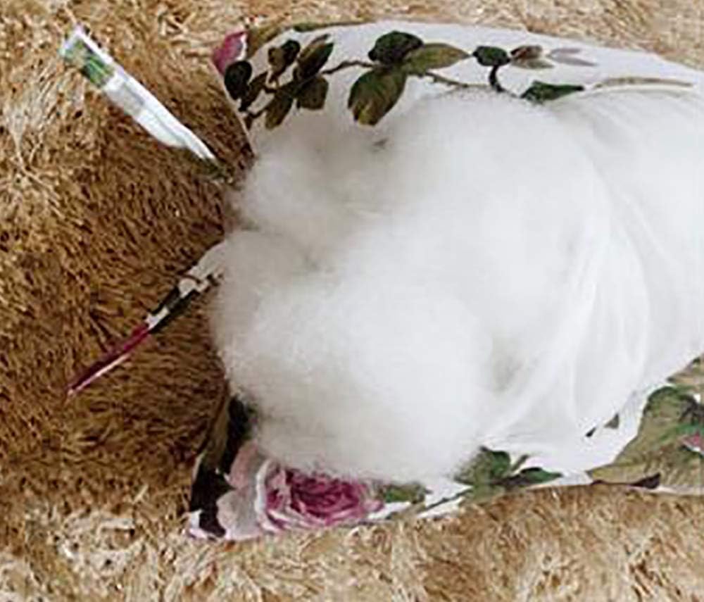 Amazon De Abnehmbares Eiernest Stuhlkissen Hangender Korbstuhl Cushio Schaukelsitzkissen Wiege