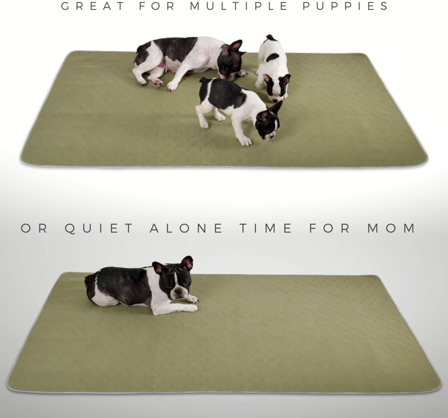 Washable Dog Pads Extra Extra Large. XXL Incontinent Senior Dogs. More Coverage for puppy in training.Leak Proof Protect Floors - Image 5