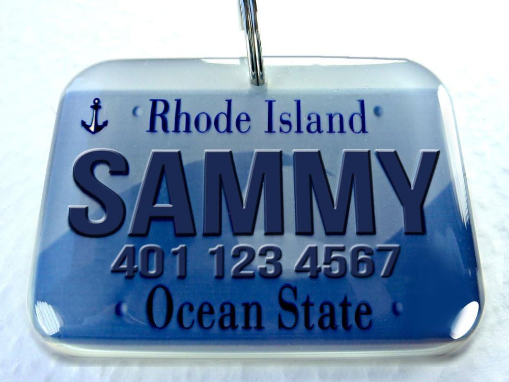 license plate pet tags