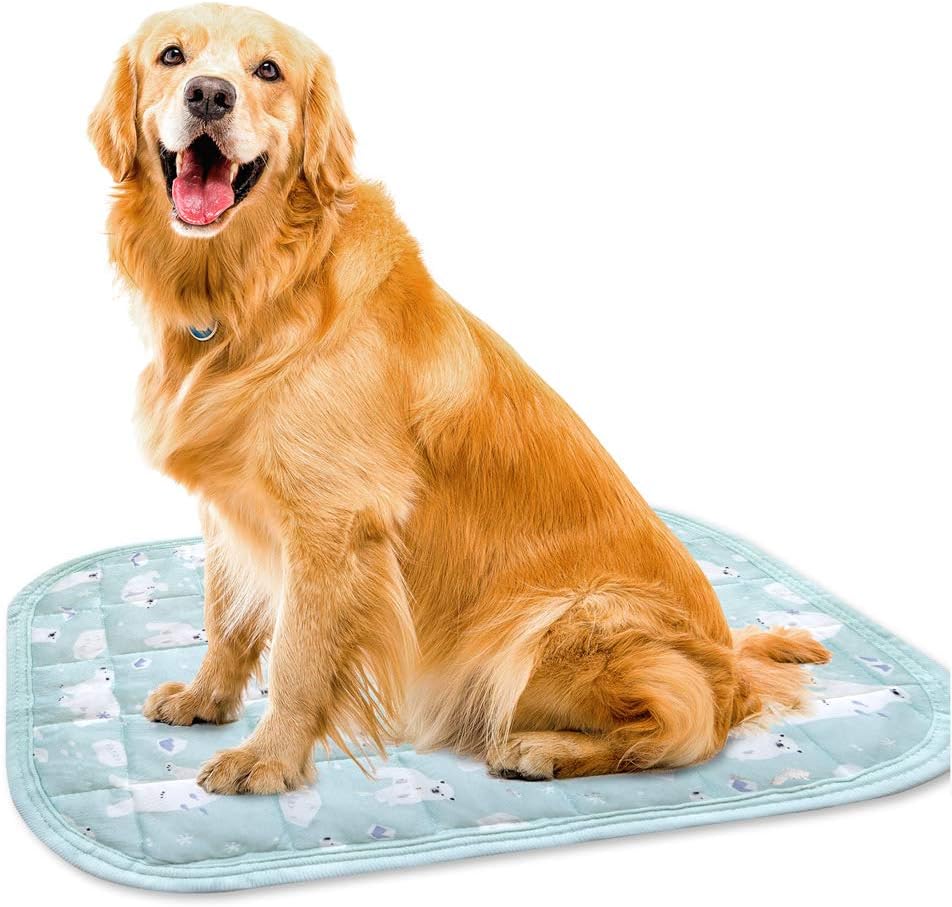 amazon dog cooling pad