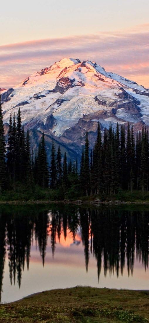 PeelitStickit, Beautiful Nature Wall Murals, ID-3358, vinyl, Multi-colour