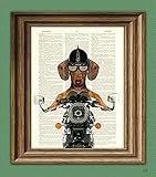 Dachshund Art Print Doxie Danger Motorcycle Stuntman dog illustration beautifully upcycled dictionary page book art print