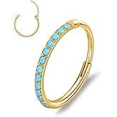 limerencia Nose Rings Hoop - 20G Titanium Turquoise Nose Ring for Women Men, Hinged Segment Septum Lip Rings Cartilage Conch Rook Helix Tragus Daith Earrings, Piercing Jewelry 6/8/10mm