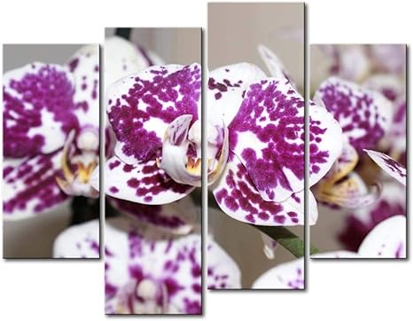 Zxwd Cuadro En Lienzo Arte Impresiones Cuadro Pintura Pared Decoración