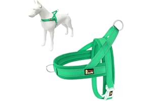 Plutus Pet No Pull Dog Harness with Breathable Mesh Padded, Adjustable Reflective Escape Proof Dog Harness, Quick Fit Dog Vest Harness for Small Medium Large Dogs(M, Green)