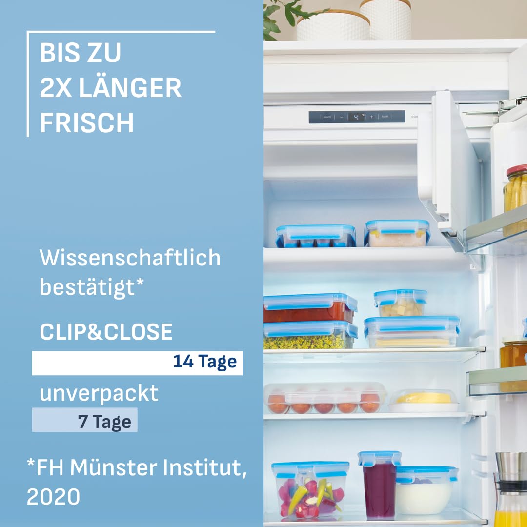 EMSA Clip & Close Frischhaltedose, Eiswürfelform, 22,6 x 16,5 x 4,9 cm, flexibler Boden, Aufbewahrungsbox, 100 Prozent dicht, spülmaschinen-, gefrier-, mikrowellenfest, Blau, Made in Germany, 514549 6