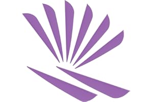 Letszhu Arrows Vanes 4 Inch Plastic Feather Fletching for DIY Archery Arrows 50 Pack…