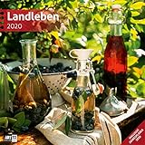 Landleben 2020 Broschürenkalender by