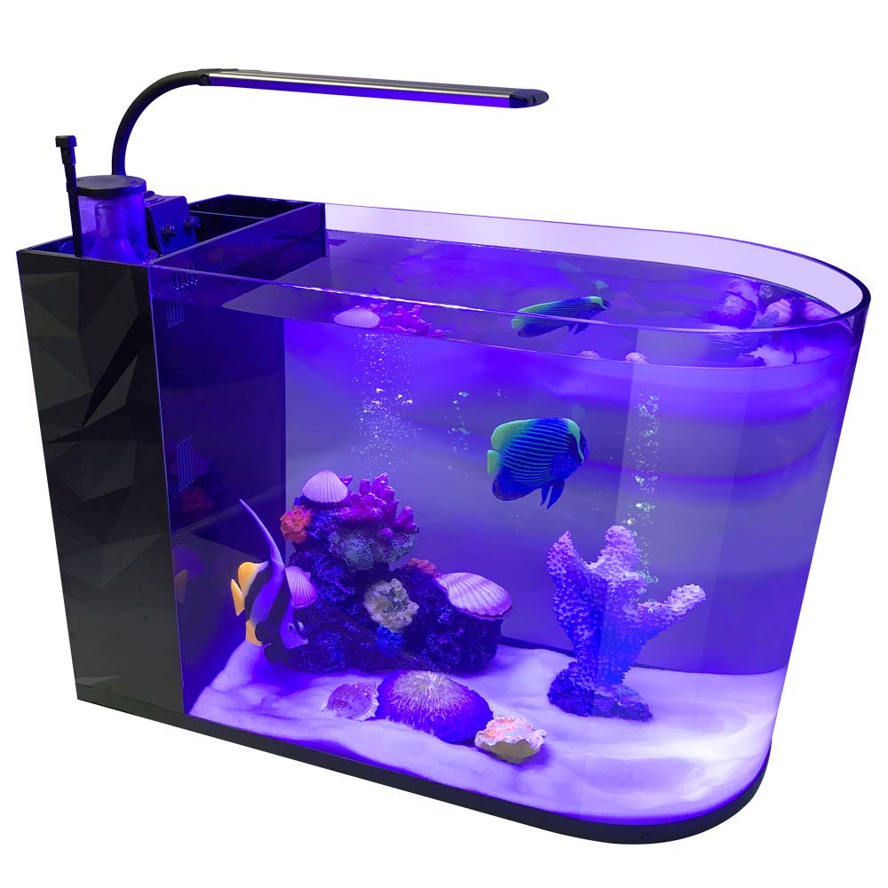 Gankpike 12 Gallon Saltwater Aquarium Marine Fish Tank Reef Tank With Pump Protein Skimmer Heater And Thermometer Buy Online In India At Desertcart In Productid