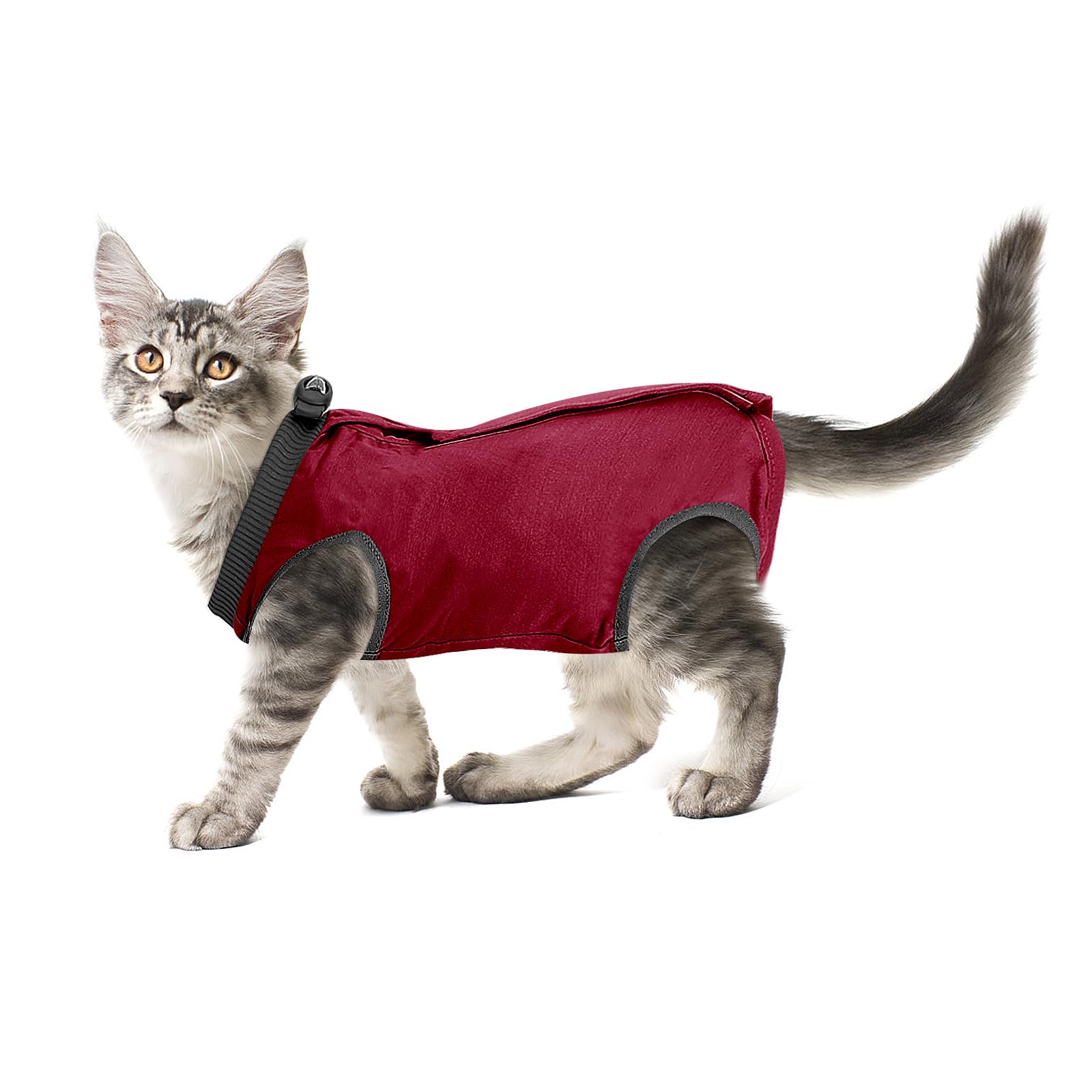 Cobee Cat Professional Recovery Suit for Abdominal Wounds or Skin Diseases, Kitten Surgery Alternative Wear Pajama (L Size, Red)