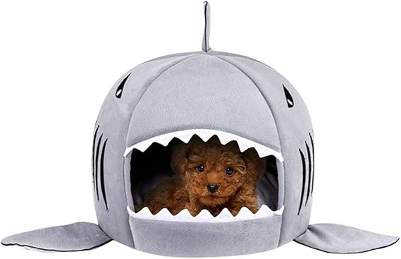 shark dog bed large