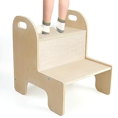 dual step stool