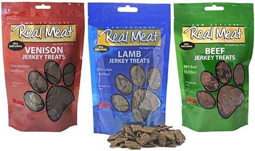 best cat food and water bowls