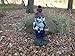 Design House 319657 Skeleton Man Gnome with Pipe Lawn 19-inch Garden Patio Home & Office Décor Housewarming Gifting Birthdays, Multicolor