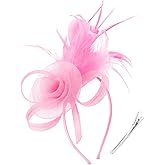 DRESHOW Fascinators Hats for Women Tea Party Fascinator Hats Vintage 50s Headwear Cocktail Wedding Church Derby Hat