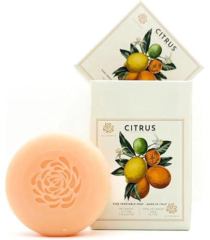 Amazon.com : Alchimia Vegetable Handmade soap Bar from Italy (Lemon) :  Beauty & Personal Care