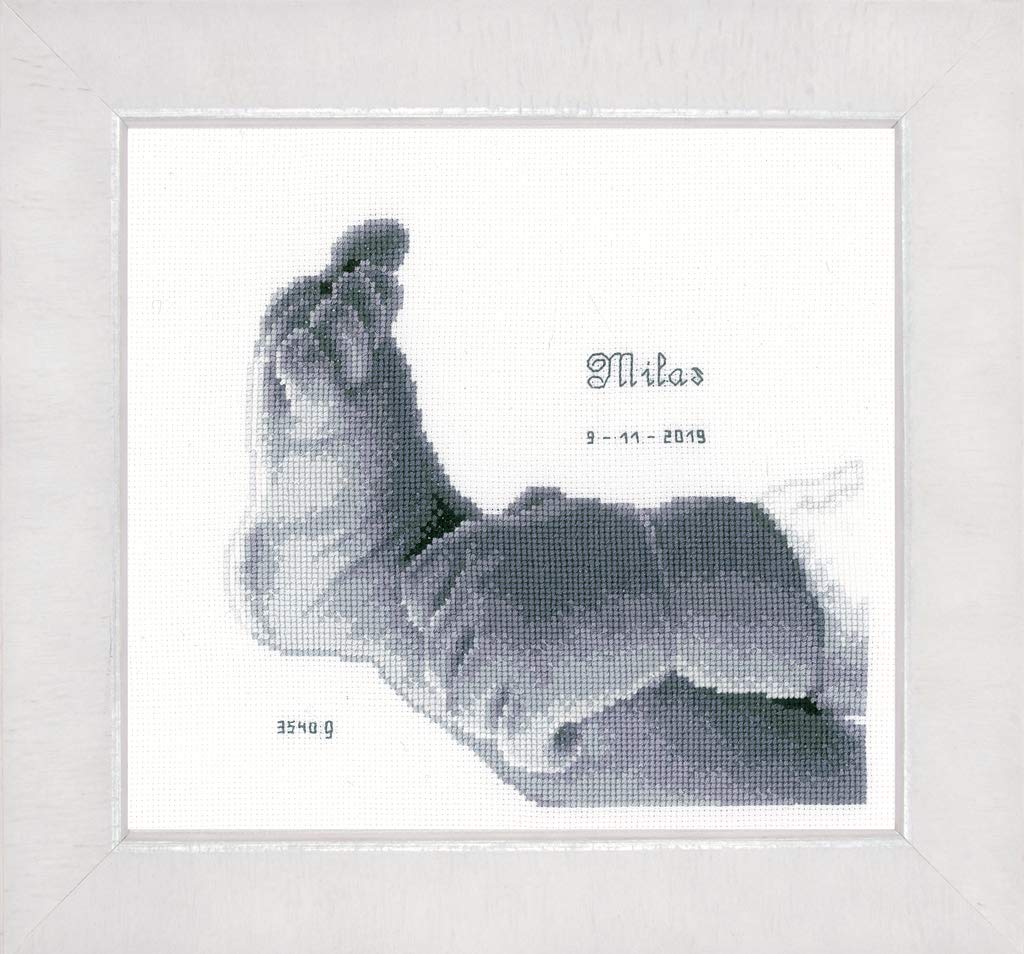 Counted Cross Stitch Kit: Little Baby Foot