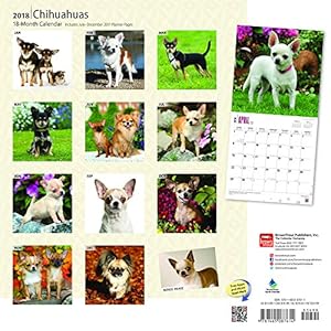Chihuahuas 2018 12 x 12 Inch Monthly Square Wall Calendar with Foil Stamped Cover, Animals Small Dog Breeds Puppies (Multilingual Edition)