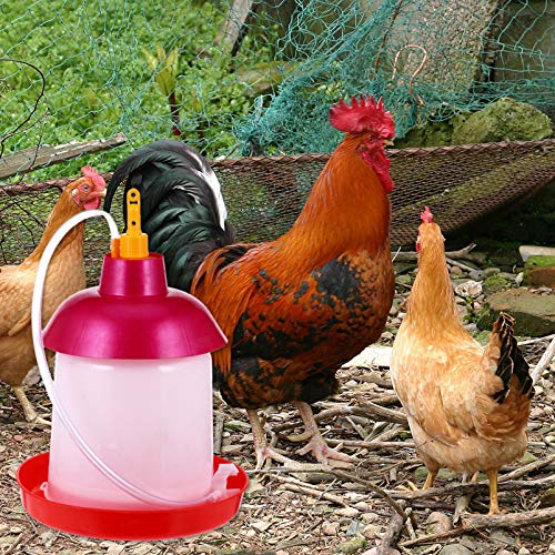 Cabilock Geflügel Wasser Fütterung Gerät Hochleistungshähnchen Hühnerfütterungsglas Geflügel Huhn Wasserkrug Wassersystem Für Geflügel Hühnerwassertrinker Gleiten Trinkbecher Vögel Plastik – Bild 6