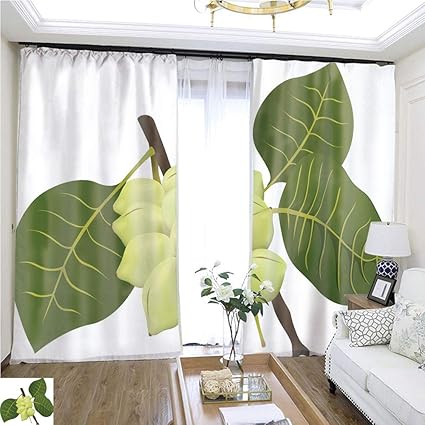 Amazon Com Air Port Screen Food Illustration Kakadu Plum Fruit