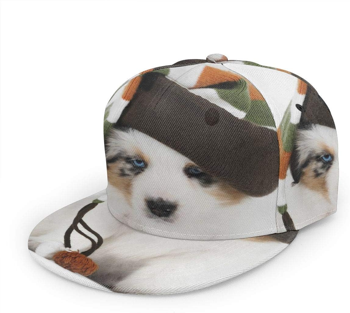 YIXKC Snapback Hats Australian Shepherd Dog Vector