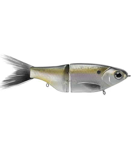 Amazon.com : Spro KGB Chad Shad 180 Glide Bait (Ghost Perch