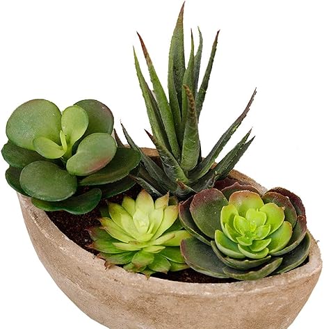 Amazon ストーンズ 盛り合わせジューシー鉢植え 家庭屋外装飾ミニ人工鉢植えフェイク多肉植物植物 人工観葉植物 オンライン通販