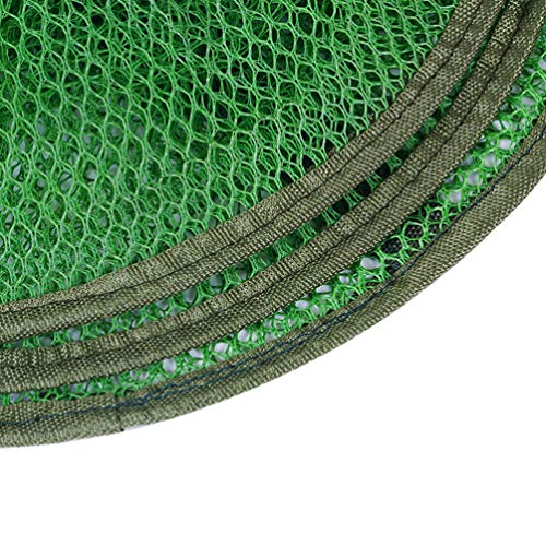 BESPORTBLE Fischernetz Faltbar Setzkescher Mesch Netz Köderfischreuse Fischköder Falle Angel Zubehör für Fisch Trocken… – Bild 7
