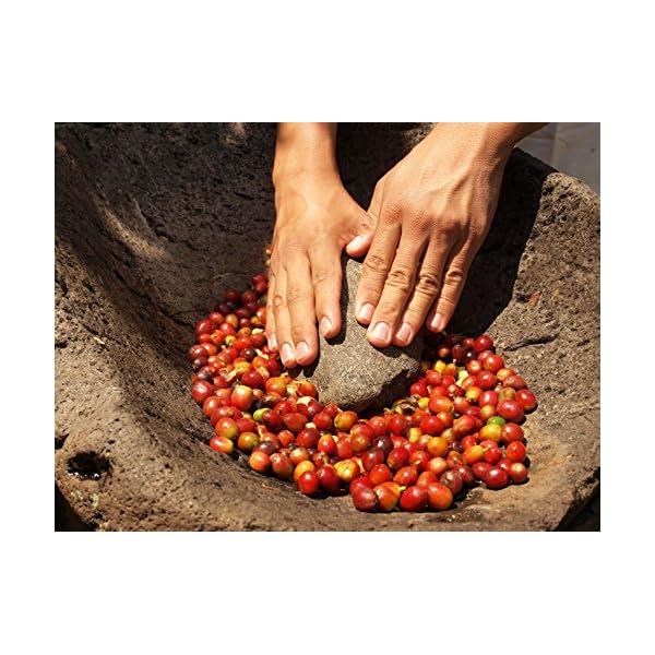 Bionatural Bio Fairtrade Kaffee-Espresso ganze Bohne by J. Hornig (3 kg) – Bild 4