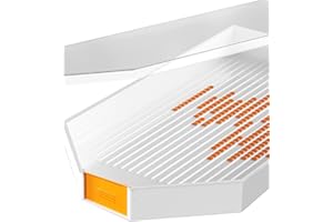 DPG-THE DIAMOND PAINTING GROUP Bead Organizer Used for Diamond Painting Storage Tray with Lid and Funnel Insert, Large Art Bead Storage Container for Diamond Dot, Rhinestones, or Beads