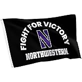 Desert Cactus Northwestern University Flag - 3 x 5 Feet NU Wildcats Banner, Indoor/Outdoor Durable Fabric Display (Style C)