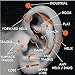 BodyJ4You 120PC Body Piercing Jewelry Aftercare Dead Sea Salt 14G 16G Belly Ring Tongue Nose Tragus Lip Eyebrow Steel