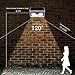 VOLADOR 2 Packs 50 LED Solar Lights, Outdoor Wireless Security Lights, Motion Activated Solar Light, Wall Mount Solar Light for Garden Patio Deck Yard Path Driveway(White)