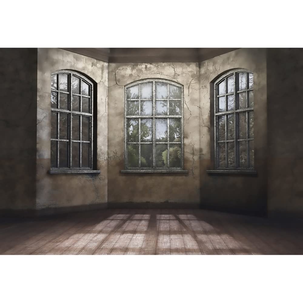 Aoihrraan 3,5x2,5m Vintage French Sash Window Backdrop Old Room Wall Wood Floor Sunshine Retro Castle Interior Photography Background Wedding Baby Shower Kids Adults Art Portrait Photo Studio Props