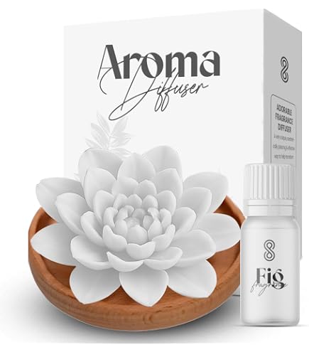 Amazon.com : Zodax Moroccan Peony - Dream Mini Porcelain Diffuser