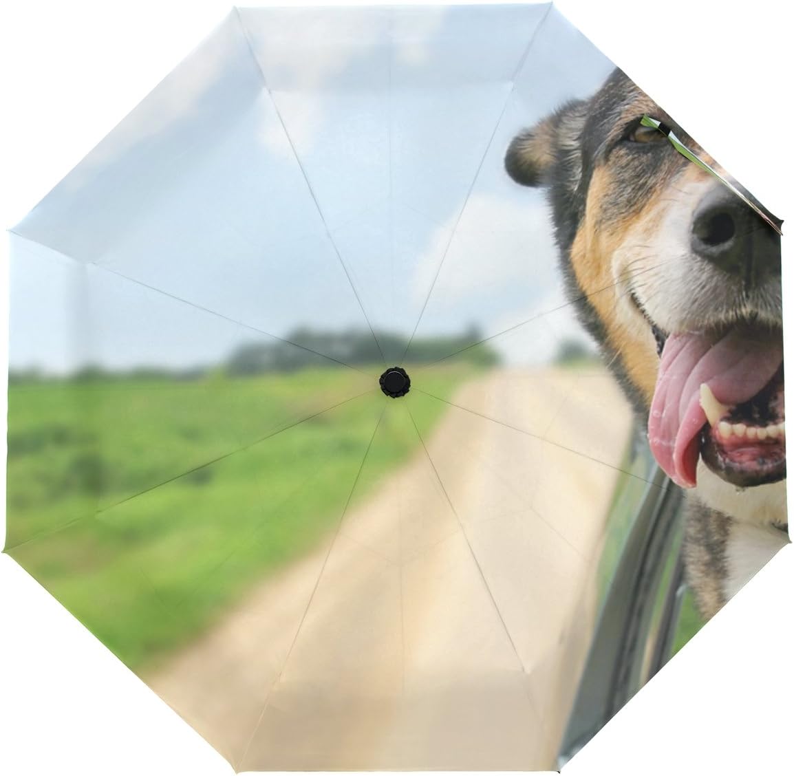 dog umbrella for sun