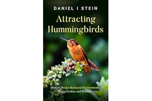 Attracting Hummingbirds: How to Design Backyard Environments Using Feeders and Flowers