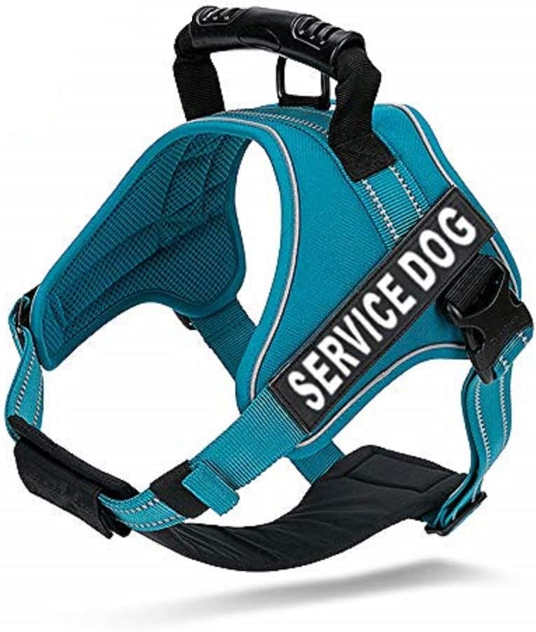 commercial rabbit housing